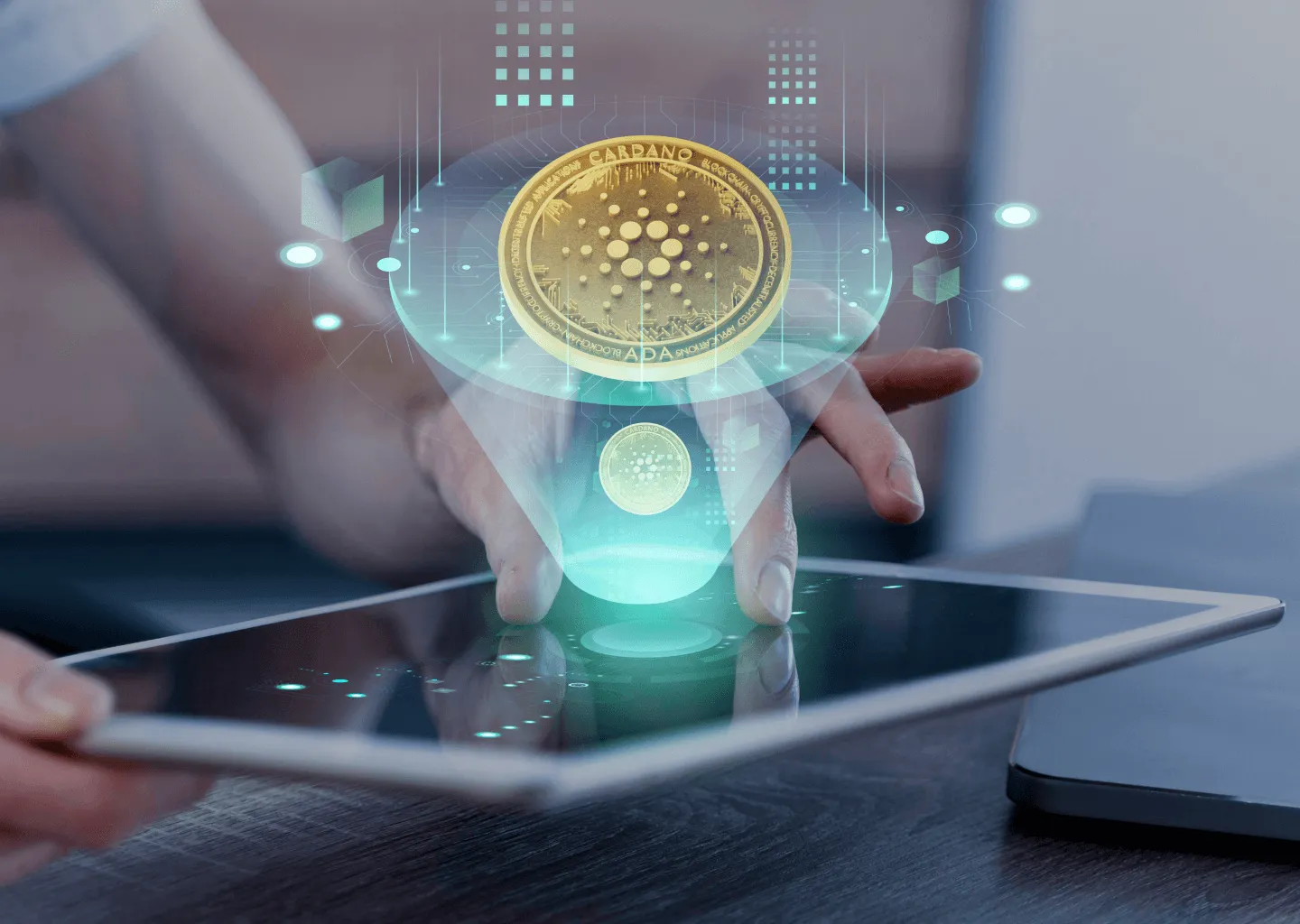 METAVERSE TOKEN DEVELOPMENT COMPANY METAVERSE TOKEN DEVELOPMENT COMPANY