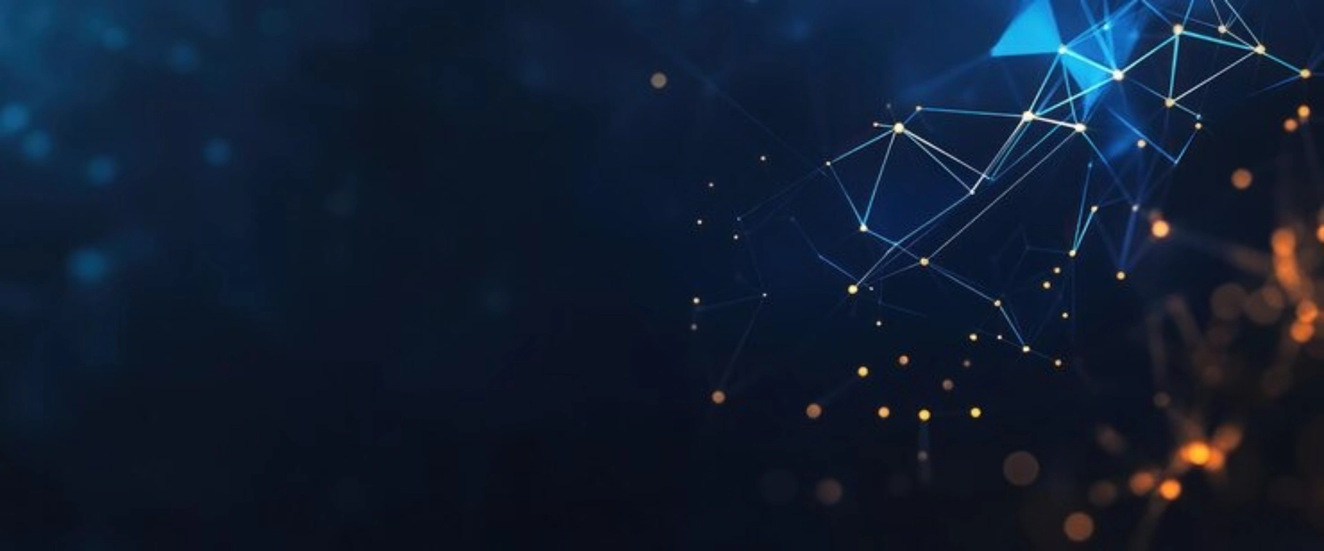  SOFTWARE DEVELOPMENT COMPANY IN GERMANY