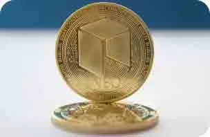 NEO Fork NEO Fork