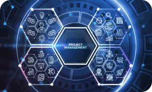 Dedicated Project Managers Dedicated Project Managers