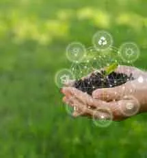 Sustainable Sustainable