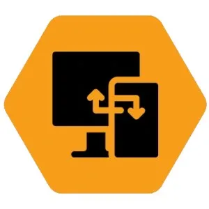 Cross-Platform Compatibility