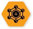 Design & Customization Design & Customization