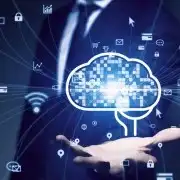 Enterprise Software services