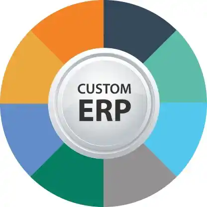 custom ERPs custom ERPs
