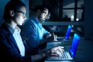SOFTWARE SOLUTIONS IN THE USA