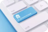 Government Government
