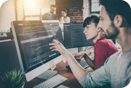 Expert Development Team