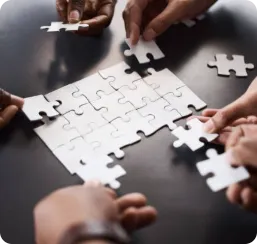 White-Glove Solutions