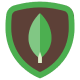 MongoDB MongoDB