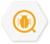 Bug Bounty Program