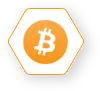 Bitcoin (BTC)
