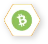 Bitcoin Cash (BCH)