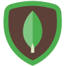 MongoDB
