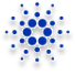 no-alt