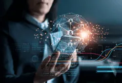 1. Custom Software Development