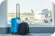 Travel Travel