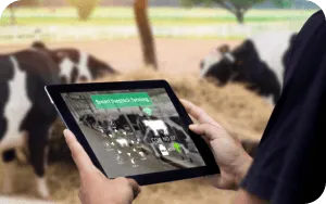 Livestock Management System